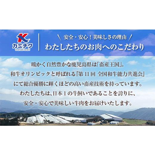 ふるさと納税 鹿児島県 鹿児島市 鹿児島県産黒毛和牛切落し900g　K208-019