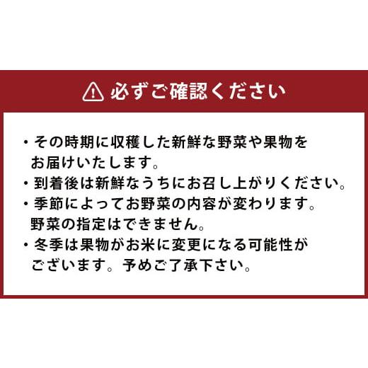 ふるさと納税 熊本県 菊陽町 菊陽町特産品 「野菜・果物などの詰め合わせ」