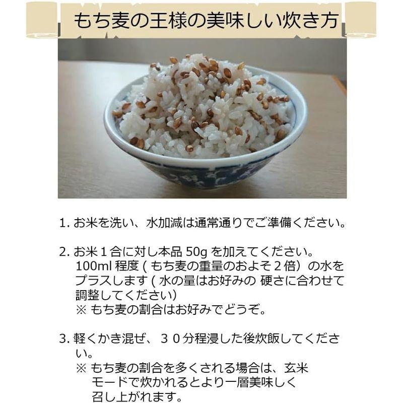 水溶性食物繊維 健康的な食事をしましょう もち麦の王様(ダイシモチ玄麦）1kg(500g×2袋) もち麦 紫もち麦 国産 玄麦 β-グルカン