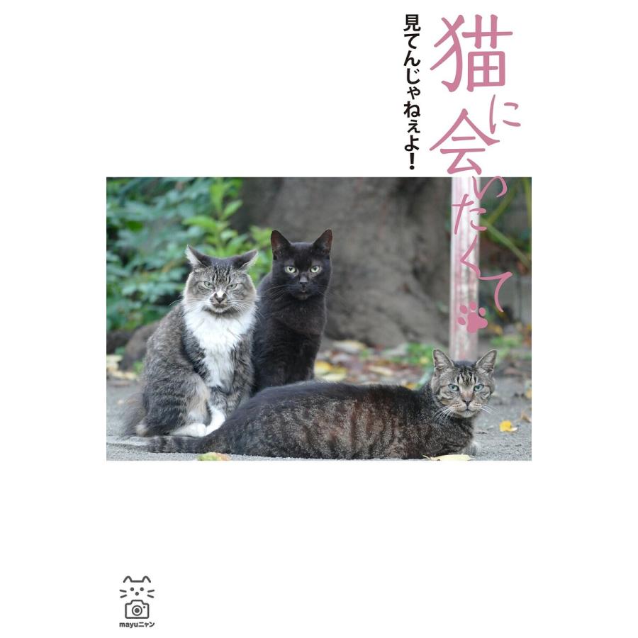 猫に会いたくて 見てんじゃねぇよ! 電子書籍版   撮影:mayuニャン