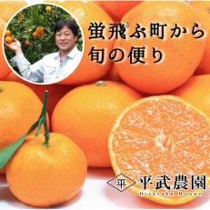 蛍飛ぶ町から旬の便り 有田みかん Lサイズ 3kg　平武農園の有田ブランド田口みかん