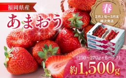 福岡産あまおう 6パック 合計約1500g～1620g 約1.5kg （1パックあたり約250g～約270g） いちご 苺 果物 フルーツ 九州産 福岡県産 冷蔵 送料無料 