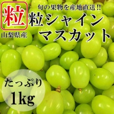 山梨県山梨市産　シャインマスカット　粒　約1kg