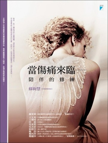 當傷痛來臨：陪伴的修練[二手書_良好]