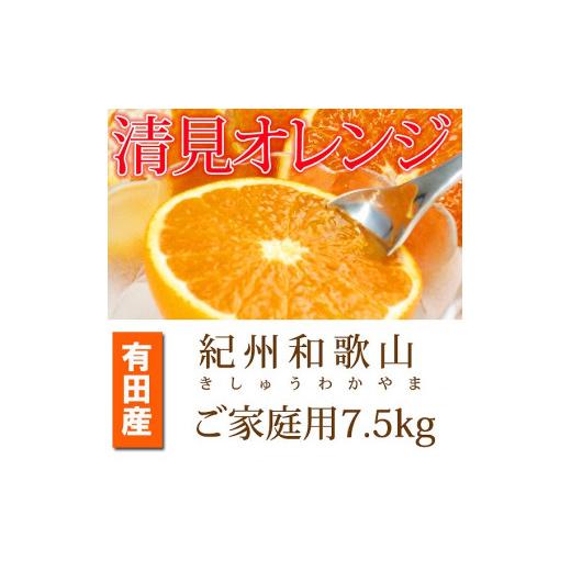 ふるさと納税 和歌山県 和歌山市 紀州有田産清見オレンジ　7.5kg