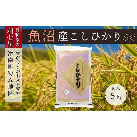 ふるさと納税 新潟県 津南町 雪解け水がお米を育む、津南町特A地区の美味しいお米。