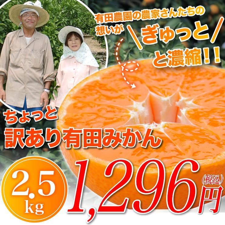 訳あり みかん ちょっと訳あり 有田みかん 蜜柑 2.5kg 自宅用 訳アリ ミカン 2.5kg 箱買い 産地直送 安い 糖度 2.5キロ 和歌山県産 おいしい 和歌山みかん