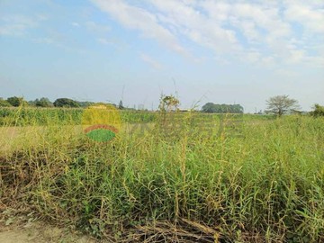 紘緯推薦-(專)岡山友情段都內增值方正農地｜高雄市岡山區友情段