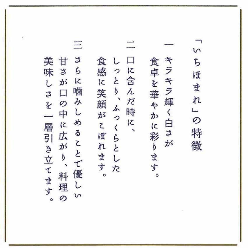 令和5年産 お米 米 ５kg×2 贈答品 お中元 御中元 お歳暮 御歳暮 福井県産 いちほまれ 福井県米 新米