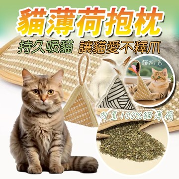 磨牙耐咬 貓薄荷抱枕 100％貓薄荷 貓咪枕頭 潔牙貓咪玩具 劍麻材質 帆布幾何三角 貓咪抱枕 自嗨玩耍 防抓 舒緩情