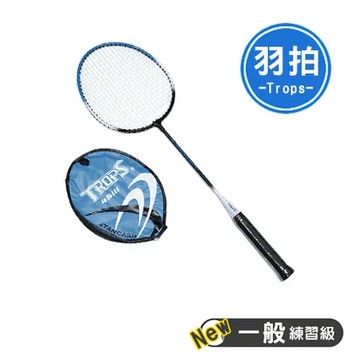 SUCCESS 成功 特波士 練習級羽球拍/羽拍 NO.45111