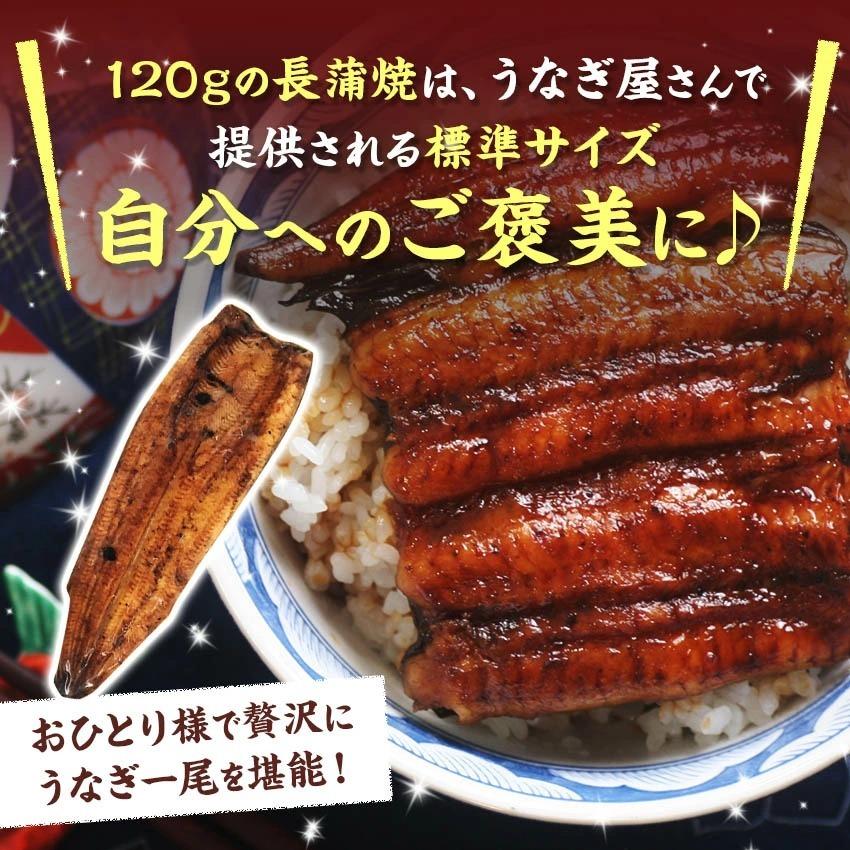 国産うなぎの最高峰 浜名湖うなぎ≪長蒲焼120ｇ×2本≫ 残暑見舞い　敬老の日※自宅用のためのし対応不可