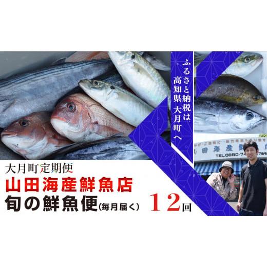 ふるさと納税 高知県 大月町 山田さんちの「旬の鮮魚便」 計12回