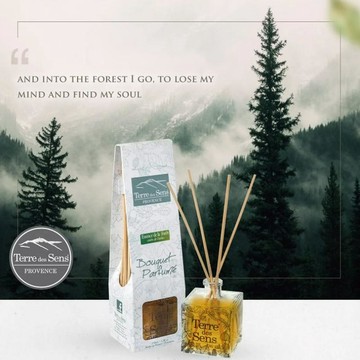 23B607_(即期良品)法國 TERRE DES SENS PROVENCE薰香瓶/蒼翠林間山韻.吟遊似水年華(柑橘香調) 100ML 效期2026/6