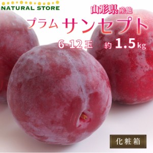 [予約 2023年9月1日-10月30日の納品] プラム すもも サンセプト 約1.5kg 6-12玉 山形県産ほか  プラム 果実専用化粧箱 秋ギフト  果実ギ