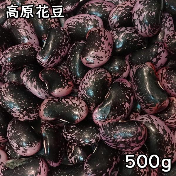 高原花豆 (500g)  令和4年産群馬県産 