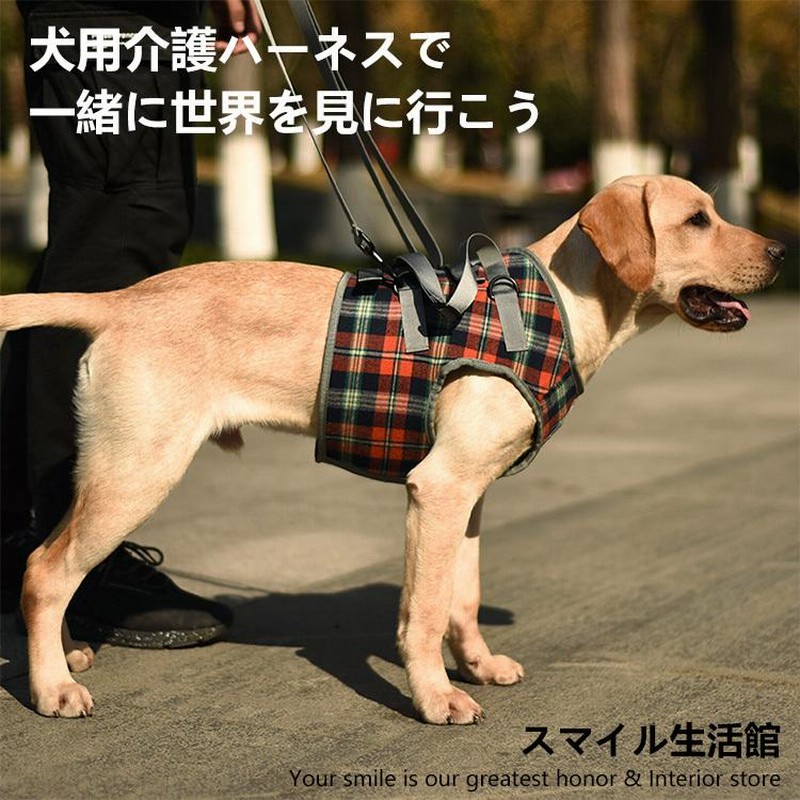 ファッション通販 犬 ハーネス 中型犬 介護用 胴用 持ち手長さ調節可能 コーギー 柴犬 歩行補助 介護ペット用品 老犬介護用 介護用ハーネス ドッグヘルパー 犬用ハーネス 後ろ脚が弱い 犬のための 犬用品 介護用 メッシュ ハーネス ブルー DOGLEMI 中型犬 大型犬用 牽引 ロープ harness