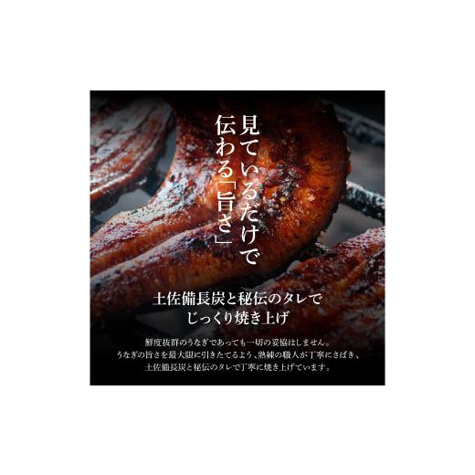 ふるさと納税 高知県 田野町 〜３ヶ月定期便〜 四国一小さなまち ★ヤマシン★ 特選うなぎの蒲焼き（冷凍） ２尾×３回 自家製タレ付き 寄附の翌月から発送開…