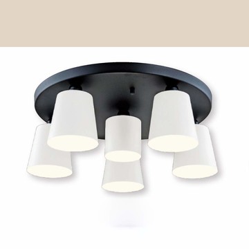 E27燈罩式吸頂五燈 B106-48-92694