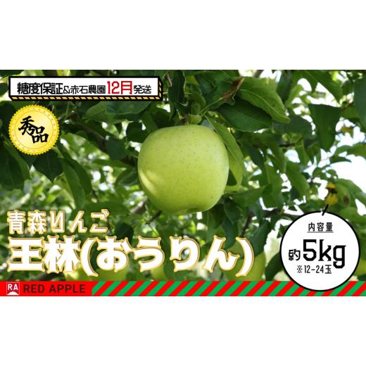 ふるさと納税 青森県 弘前市 13度糖度保証 秀品 王林 約5kg