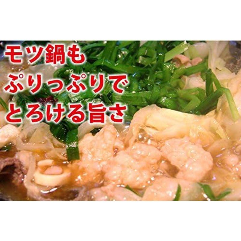 焼肉中村屋 国産黒毛和牛ホルモン300g