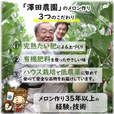 ふるさと納税 あわら市 マスクメロン 青肉 赤肉 2色セット(1.5kg以上 2玉入)食べ比べお楽しみ!