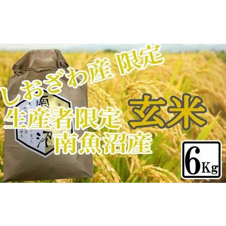 ふるさと納税 玄米 しおざわ産限定 生産者限定 南魚沼産コシヒカリ 新潟県南魚沼市