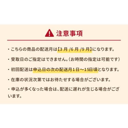 ふるさと納税 こだわりの五島ハヤシ10箱セット 化学調味料・着色料不使用 創作郷土料理いつき 五島産 牛肉 野菜五島市 出口さん.. 長崎県五島市