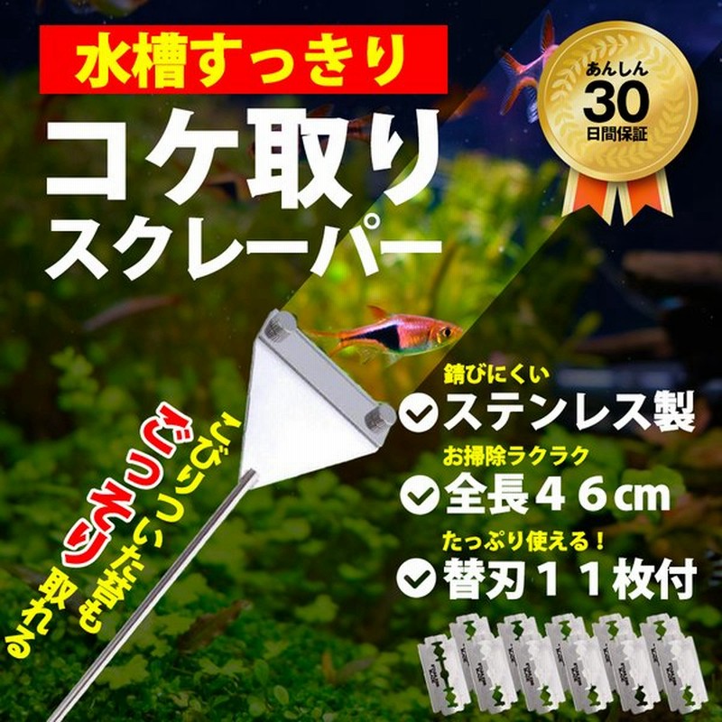 コケ取り スクレーパー プロレイザー 46cm 替え刃11枚付 アクアリウム 水草 苔 水槽 掃除 クリーナー 通販 Lineポイント最大get Lineショッピング