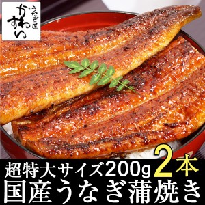 国産 うなぎ 蒲焼き 超特大200g×2本 国産うなぎ 蒲焼き 送料無料 山椒別売り お取り寄せ グルメ 超特大 人気 自宅 おうちで 贅沢 ギフト