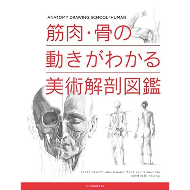 筋肉・骨の動きがわかる美術解剖図鑑