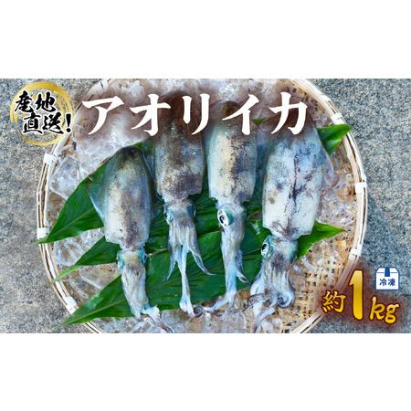 ふるさと納税 アオリイカ 約1kg 産地直送 冷凍 下処理あり イカ あおりいか いか 烏賊 水揚げ時重量約1kg 下処理後約0.6kg 徳島県海陽町