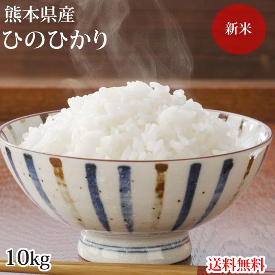 ひのひかり 米 送料無料 10kg 令和5年産 新米 熊本県産 お米 白米 玄米 コシヒカリ 森のくまさん