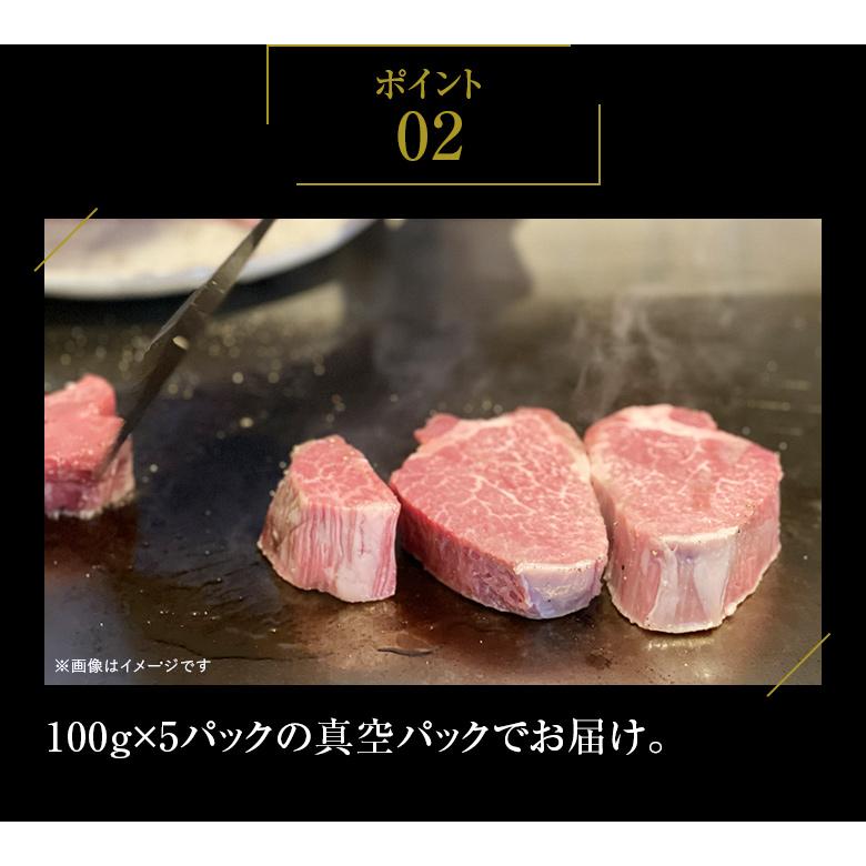 九州産黒毛和牛ヒレ シャトーブリアン500g（100g×5枚） ステーキ用 九州産 黒毛和牛 ヒレ ステーキ BBQ バーベキュー シャトーブリアン