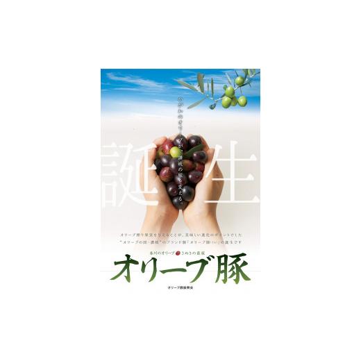 ふるさと納税 香川県 三豊市 M04-0125_「生活応援」オリーブ豚　ロースブロック1kg