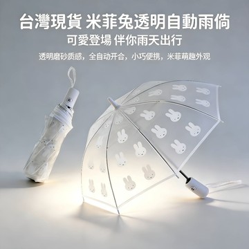 🔥現貨隔日達🔥 米菲兔雨傘 透明磨砂全自動雨傘 可愛兒童折疊傘 卡通便攜 兒童女學生網紅雨傘 女神雨傘 透明雨傘 傘
