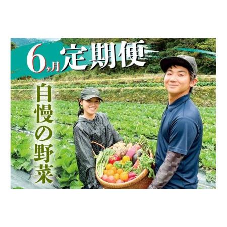 ふるさと納税 新鮮野菜BOX定期便・偶数月にお届け(6カ月便）8〜12種 高知県香美市