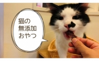 FB096 　猫の無添加おやつ☆天然いのししジャーキー4個