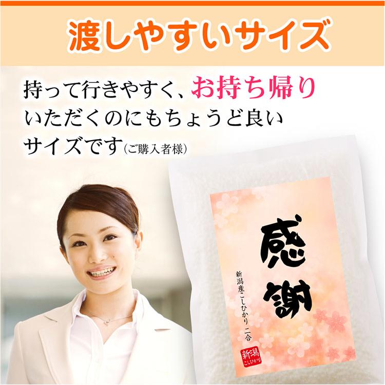 米 ギフト お米 退職 お礼の品 プチギフト 新潟産 コシヒカリ 2合×4個 真空パック 名入れは不可