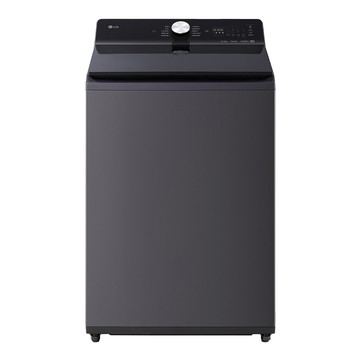 【LG 樂金】16公斤AI DD™EZ系列 蒸氣直驅變頻直立式洗衣機 夜墨灰-WT-TD16HG（送基本安裝）_廠商直送