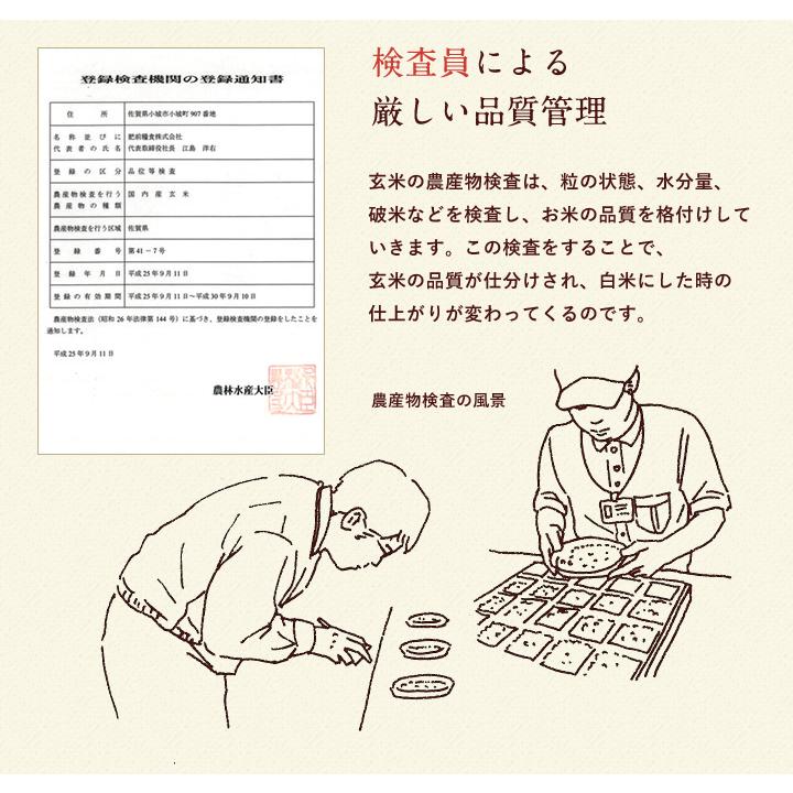 新米　米 お米 5kg 送料無料 ヒノヒカリ 佐賀県産　令和5年度