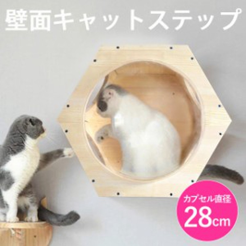 橋渡しと丸足場 中 小物置き 4つセット | contifarma.pe