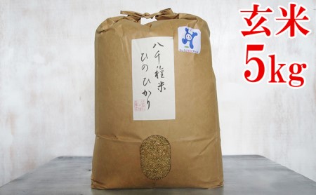 兵庫県福崎町産 ひのひかり 八千種米5kg 玄米 兵庫県認証食品（うるち米）兵庫推奨ブランド