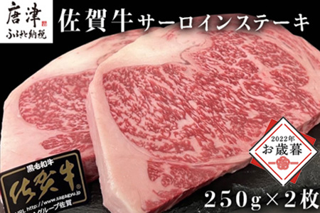 佐賀牛サーロインステーキ 250g×2枚(合計500g) 牛肉 ステーキ BBQ アウトドア 「2023年 令和5年」