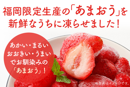 福岡県産 2kg 産地直送 産直 朝採れ 朝採り 新鮮 瞬間冷凍 いちご イチゴ 苺 お取り寄せグルメ お取り寄せ 福岡 お土産 九州 福岡土産 取り寄せ グルメ 福岡県