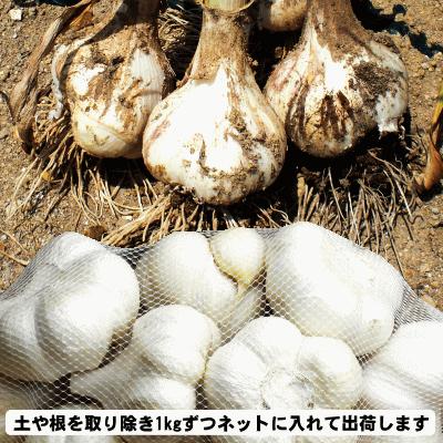 にんにく 青森 国産 2Lサイズ 5kg 訳あり C品