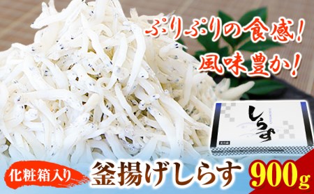 釜揚げしらす900g（化粧箱）　大五水産 《30日以内に順次出荷(土日祝除く)》 和歌山県 紀の川市 しらす 釜揚げしらす