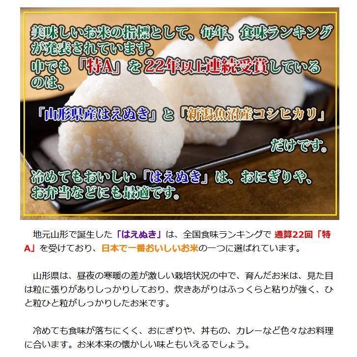 新米 お米 はえぬき 5kg 山形県産 白米 玄米 分づき可 一等米 当日精米 令和5年産