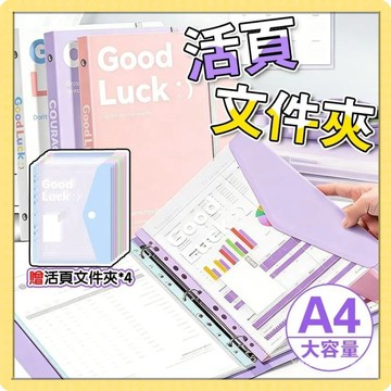 🍧臺灣現貨🍧A4文件夾 活頁資料夾 透明插頁資料冊 試捲收納袋 分類夾 分類夾 考捲收納袋 資料包 文件收納1215
