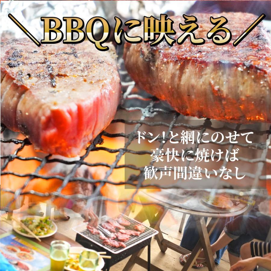 牛肉 ヒレ ステーキ 詰め合わせ 100g×2枚セット 赤身 牛 ヒレ肉 バーベキュー BBQ グルメ お歳暮 ギフト 食品 プレゼント キャンプ キャンプ飯